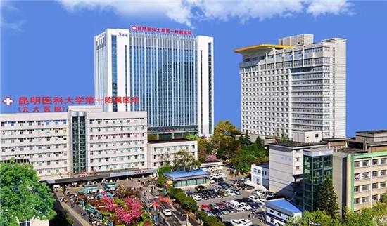昆醫(yī)大附一院整形科